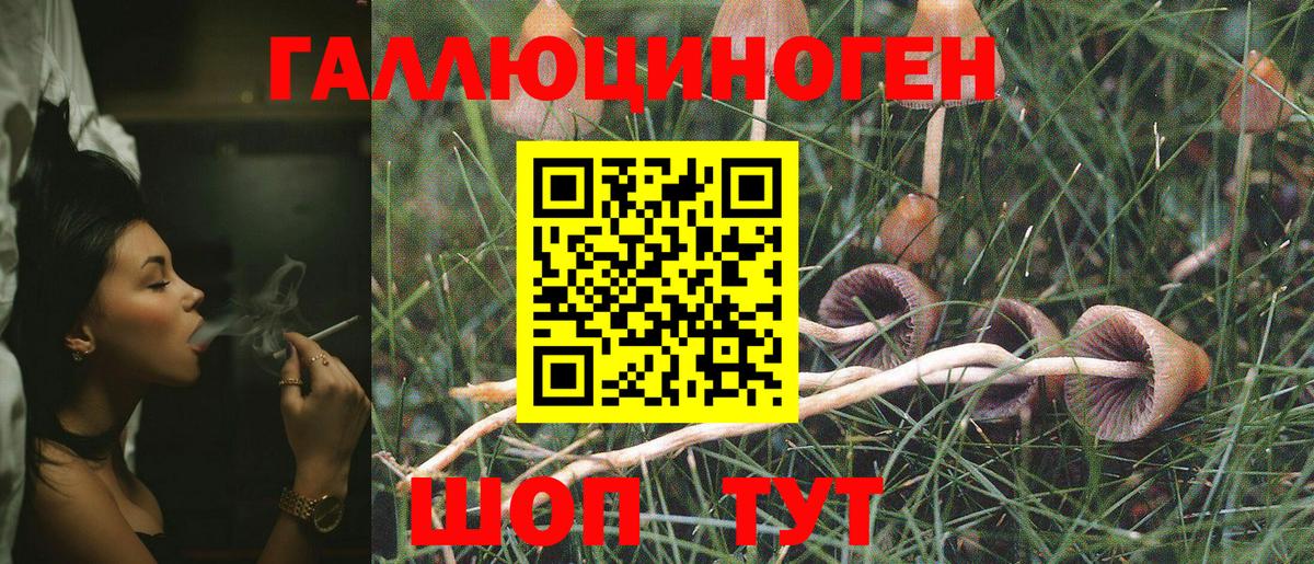 Галлюциногенные грибы Cubensis Рузаевка