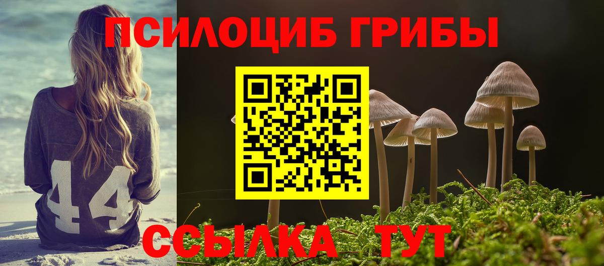 продажа наркотиков  Галлюциногенные грибы GOLDEN TEACHER  Вход с VPN  Рузаевка  Галлюциногенные грибы Psilocybe 